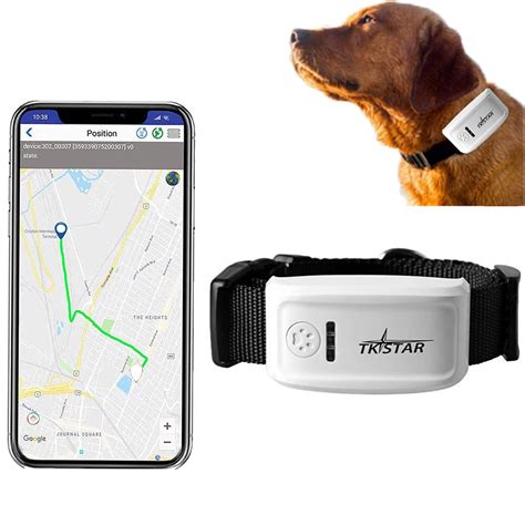 active rfid bluetooth dog tracking|best dog tracking devices 2022.